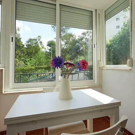 Adorable And Comfortable Studio With Free Parking Apartament *