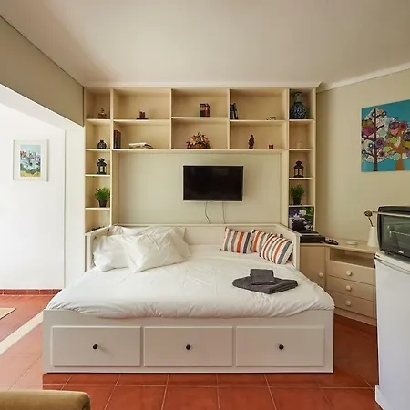 Adorable And Comfortable Studio With Free Parking Apartment *